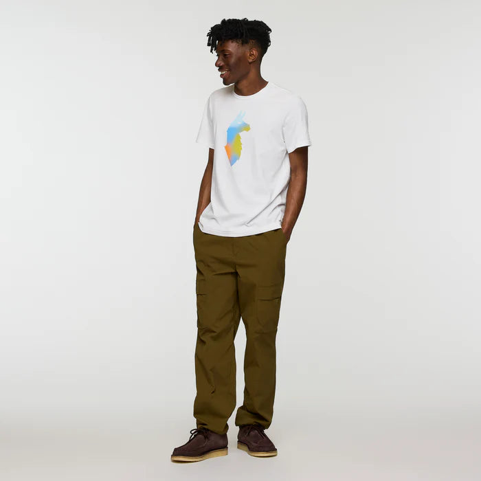 44f993b0eae505ed2ae4069929ca727e