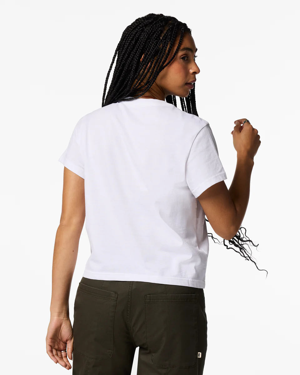 8a2a20cf7205eef53c38abc7df4bf5e4