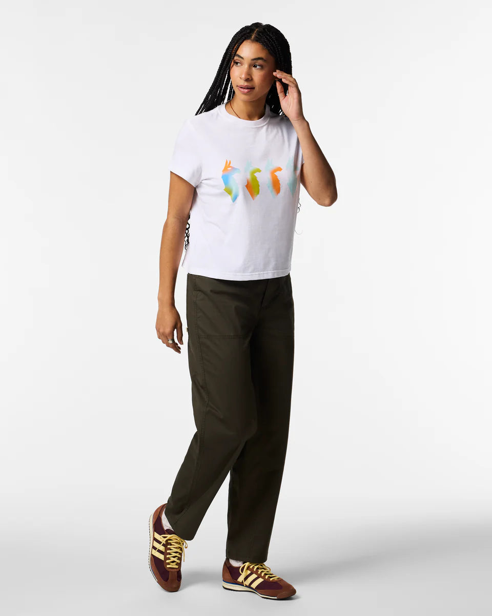 919e70b79aa28f76f5b30301dd151a95