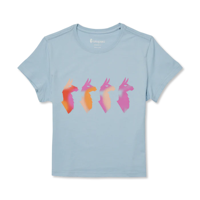 c2e8f5cb6d798228dee69de45a8faced