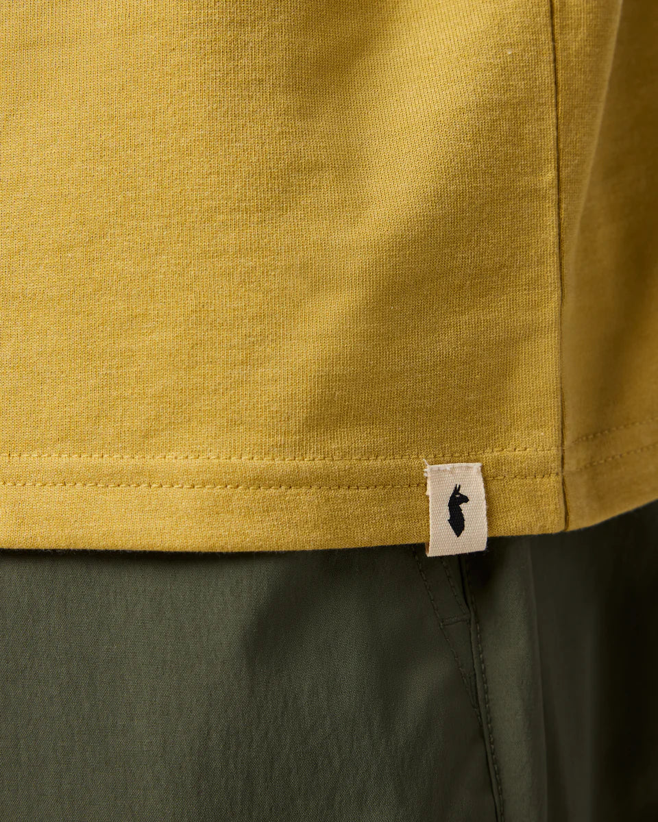 a0d3e6247ee63136d732cad364025da8