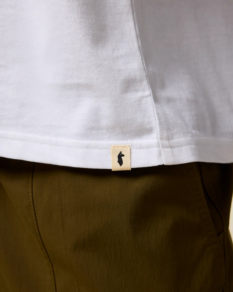 375bffdeffafafc28adda8029f680003