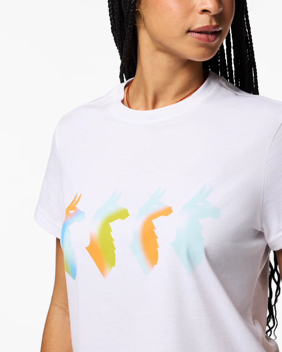 0feb7ba20404d8e66caaa17e96091687