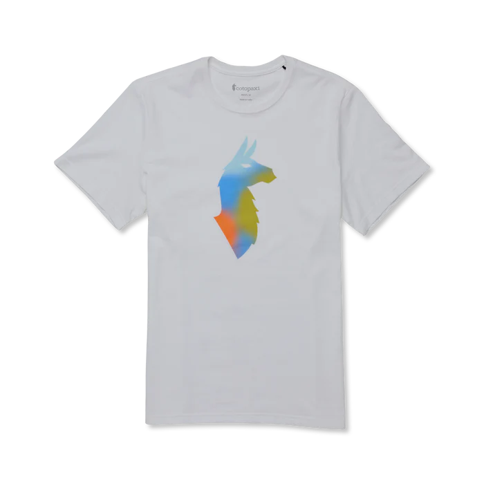 541a0fb1a18c706f4682a9ab176a1279