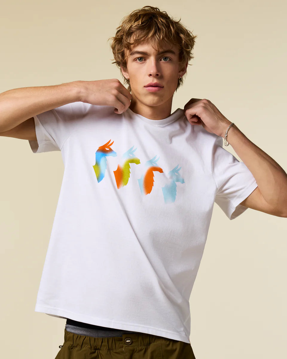 09363ec6a69fa86294a78ef672727801