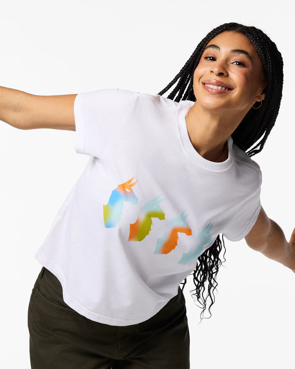 86e50bb824919e24f8ab86dc6645c109