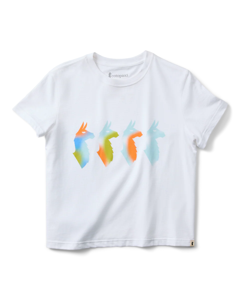 79f64109b3247859d3542ed06879d1b1