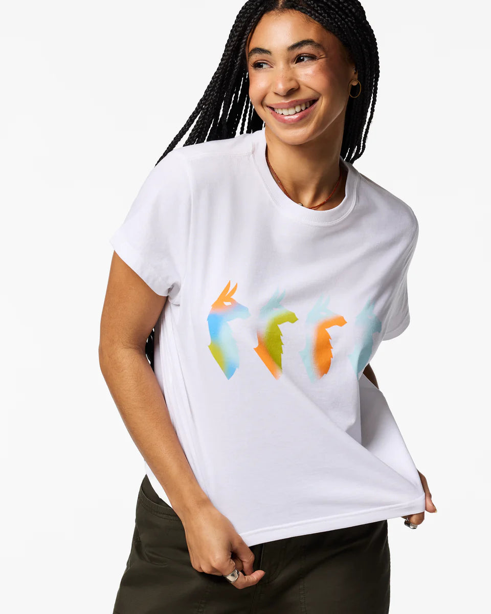 24e936571984fb79d4d68e487bf2c0a3