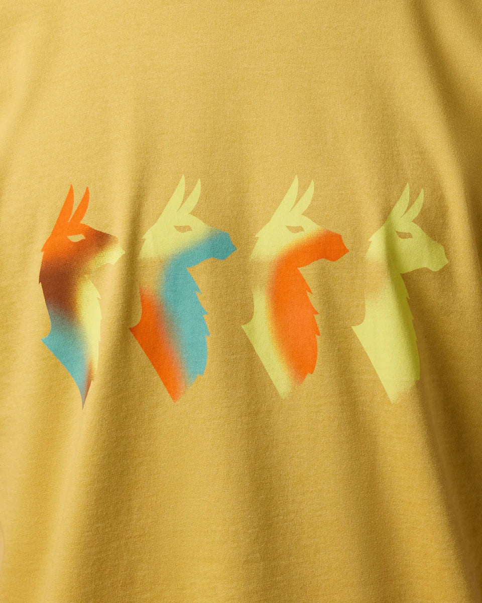 5a618b26b669a72c510d025601efc296