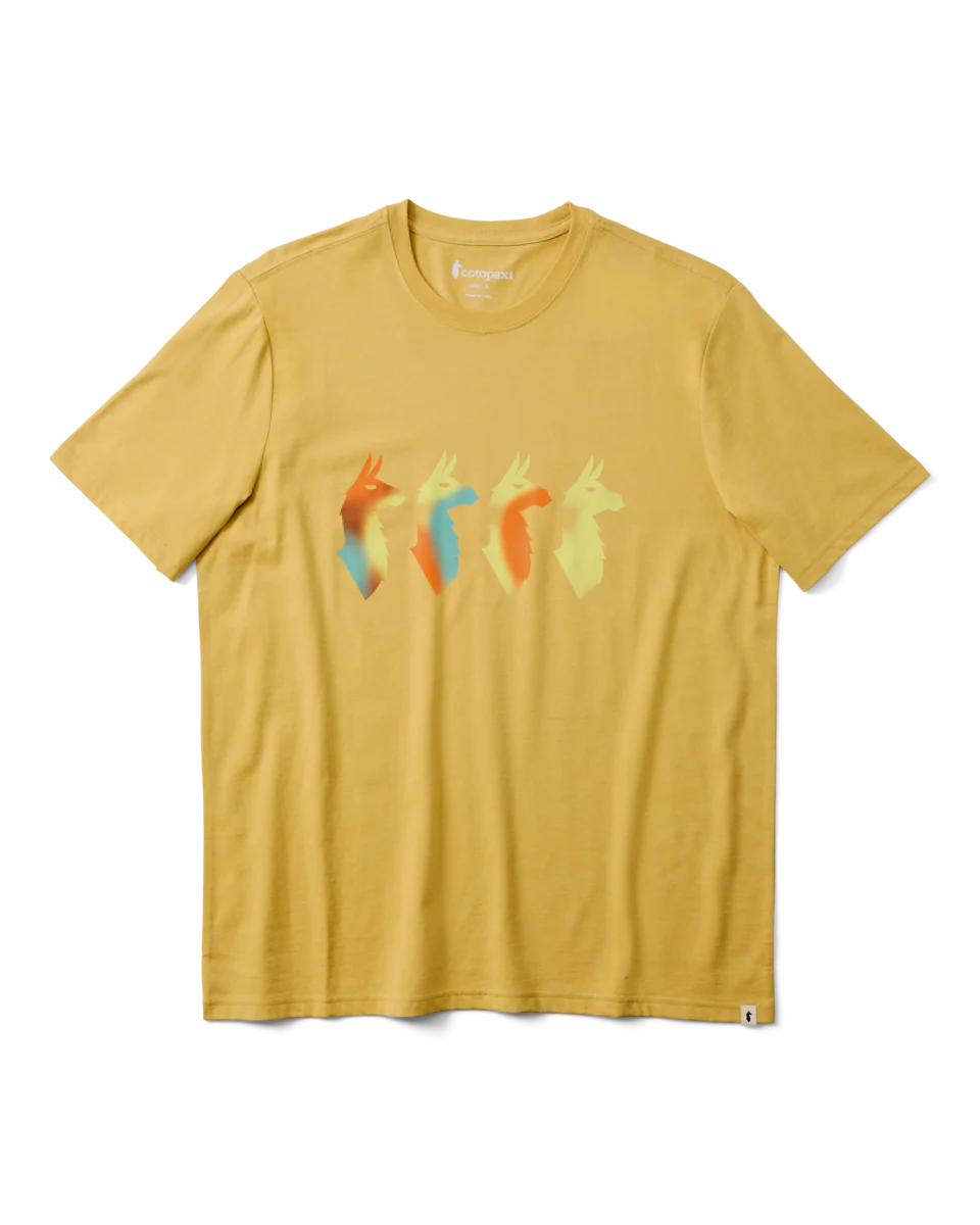 bd439d81e4cba8da661064481dd97025