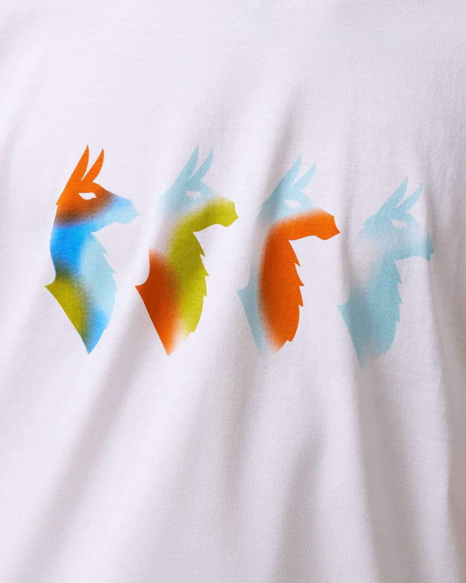 9798a84b1b20230421f6fd2eda30ddea